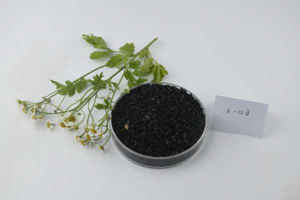 提取黄金选用哪种活性炭效果最好?